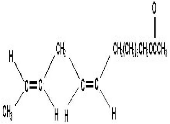 rdc0347_16_12_2002_fig29