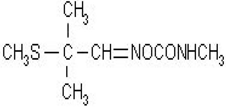 rdc0347_16_12_2002_fig5