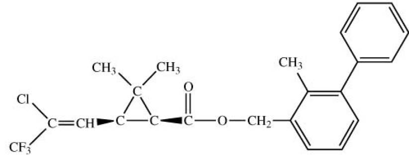 rdc0347_16_12_2002_fig53