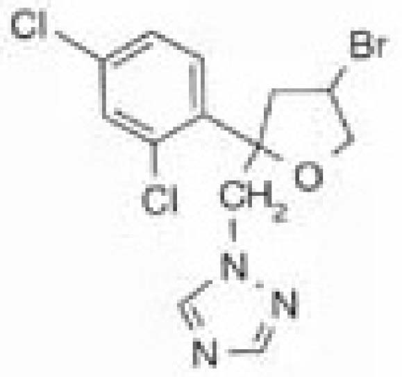 rdc0347_16_12_2002_fig57