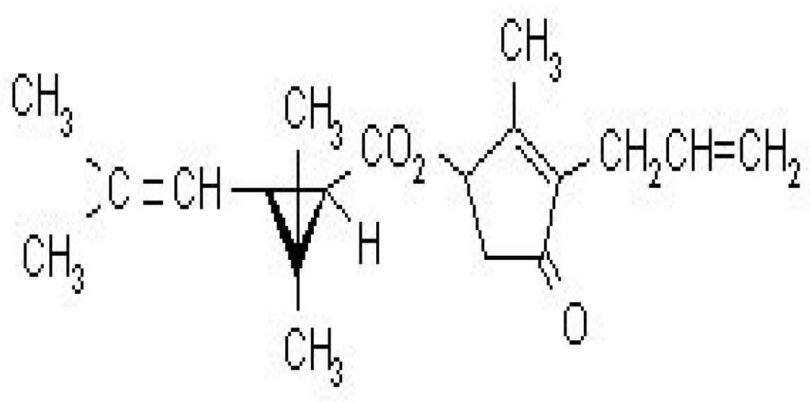 rdc0347_16_12_2002_fig6